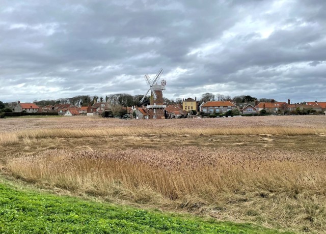 cley1